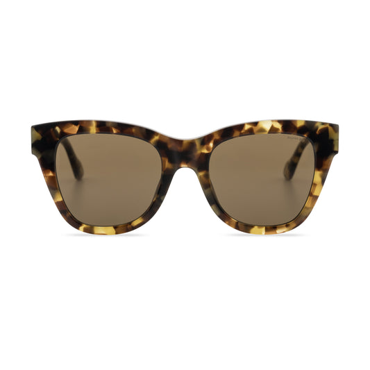 Gafas de sol Kalgan Marrón