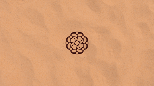 El equilibrio detrás del diseño