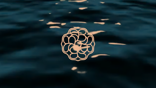 The sea taught us balance.  From its movement, we learned to design with calm precision.  Bayron Bay Eyewear. A new symbol, same horizon.