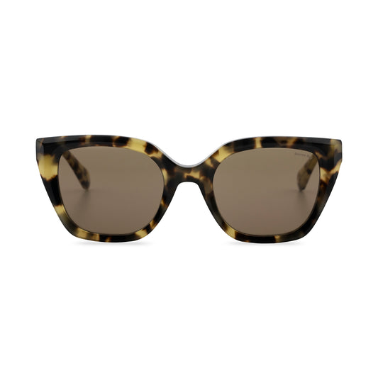 Gafas de sol Coogee Marrón